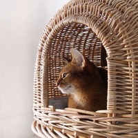 Tissé à la main écologique motif rayé rotin chat maison porte lits pour animaux de compagnie accessoires pour petits animaux
