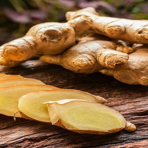ขิงสดพรีเมียม กลิ่นหอมธรรมชาติ คุณค่าทางโภชนาการสูง จำหน่ายส่ง ปริมาณมาก คุณภาพส่งออก ราคาดีที่สุด - Product Image 2