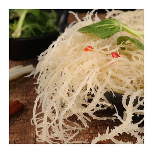 Alga Cottonii Seca a Granel de Vietnam, Musgo Irlandés Natural Seco, Musgo Sin Sal Secado al Sol, Proveedor de Exportación - Product Image 5