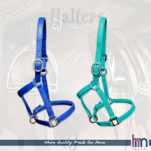 Elegante Cabestro de Cuero Vacuno Suave Color Verde Azulado con Acolchado de Neopreno y Herrajes de Acero Inoxidable para Equitación Inglesa, Venta al por Mayor OEM - Product Image 3