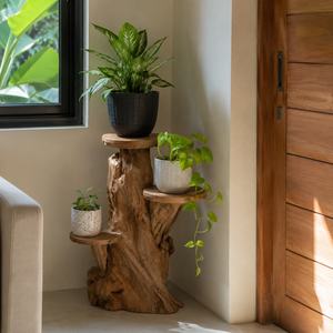 ARTERRA Support de Présentation en Bois Massif Artisanal Rustique en Racine de Teck Bio de Qualité Supérieure pour Décoration Intérieure/Extérieure pour Diwali - Product Image 3