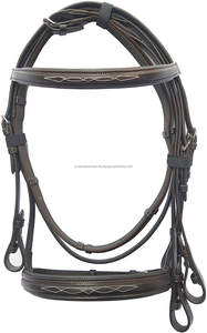 Brida de Cuero Suave de Primera Calidad, Acolchada y Personalizable para Caballo - Product Image 3