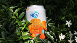 Jus de mangue naturel pur en bouteille PET 350 ml de marque NPV, pressé frais, stérilisé, certifié HALAL, lot de 24 bouteilles, prix bas - Product Image 2