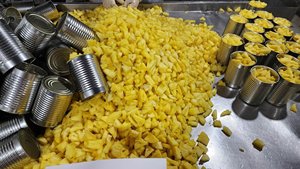 [Calidad Garantizada] Piña Enlatada en Trozos en Latas a Granel - Product Image 3