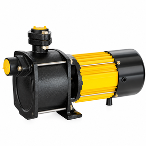 Bombas de Agua Periféricas del Fabricante, de Alta/Baja Presión, Autocebantes, para Aplicaciones de Agua Limpia, Eléctricas - Product Image 3