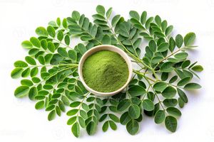 Wholesale Organic Dried Moringa Powder 100% Pure Natural Vietnam Origin supplier exporter private label oem customized packaging - Product Image 2