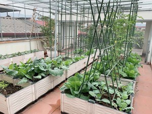 Venta al por mayor de calidad superior al aire libre decoración superventas jardín cama macetas y jardineras - Product Image 6