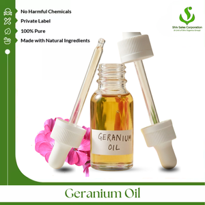 Fabricante de Aceite Puro de Geranio que Ofrece Suministro de Aceite Esencial Premium a Granel para Cosméticos, Cuidado Personal, Cuidado de la Piel y Fragancias - Product Image 1