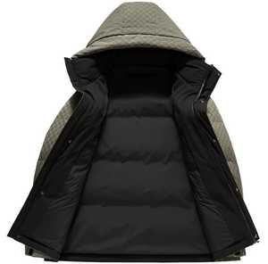 Men's Winter Hooded Puffer <b>Jacket</b> Solid <b>Fleece</b> <b>Thick</b> Polyester Waterproof Zipper Front Casual Outerwear Regular Fit - Product Image 2