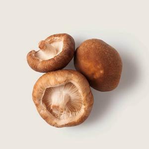 Hongos Shiitake Secos de Marca Privada OEM, Empaque Personalizado Disponible - Product Image 1