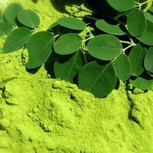Vente flash - Poudre de Moringa - Super-aliment pour les soins de la peau et des cheveux - Meilleur prix - Product Image 2