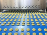 Machine automatique à biscuits à une couleur Machine de dépôt de biscuits Ligne de production de biscuits