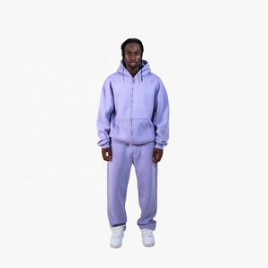 Ensemble de survêtement tendance pour homme, épais, lavande, à capuche, avec sweat-shirt zippé et pantalon, coupe décontractée, couleur unie, en coton, automne - Product Image 1