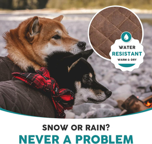 Abrigos de Invierno para Perros de Nailon y Poliéster Lavables, Transpirables y Ligeros a Precio Razonable, Diseño Acolchado, Chaquetas para Perros de Todos los Tamaños - Product Image 5