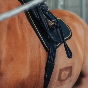 Cinturón de Montar a Caballo de Acero Inoxidable y Cuero de Alta Calidad con Diseño Personalizado al por Mayor - El Más Vendido, Personalización Profesional OEM - Product Image 3