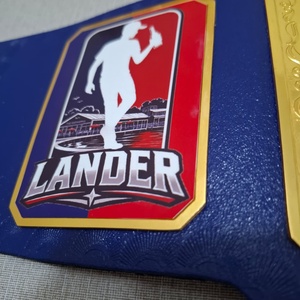 Cinturón de Campeonato de Karate, MMA, Judo y Boxeo Personalizado - Material de Latón, Unisex, para Competición - Product Image 2