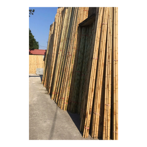 Varas de Bambú Resistentes y Ecológicas para Cultivo de Vegetales y Huertos, Hechas Directamente en Vietnam - Product Image 2