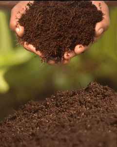 Venta al por mayor de fardos de coco hidropónico (Coco Coir/Coco Peat) de EE. UU. y Canadá, pellets de coco de baja EC, suministro directo de fábrica Falinx. - Product Image 6