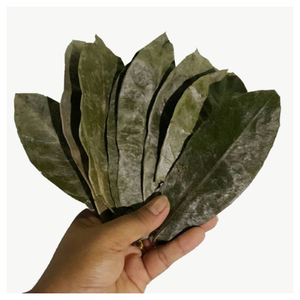 ใบชื่นฉาลูเวียดนามสำหรับส่งออกขายส่ง - Product Image 2