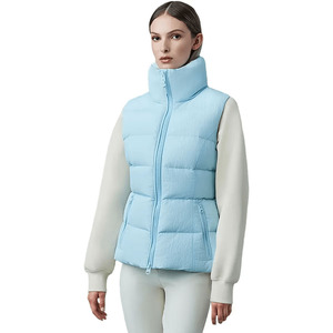 Gilet matelassé pour femme, nouvelle collection automne-hiver, sans manches, rembourré en polyester, col rabattu, vêtement d'extérieur décontracté, grandes tailles pour femme - Product Image 6