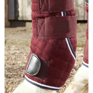 Bottes de transport pour chevaux 2026 : Design haut de gamme, qualité supérieure, avec néoprène et bandages rafraîchissants - Product Image 5