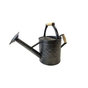 Regadera de Acero Galvanizado de la Mejor Calidad con 2 Asas, Regadera Clásica de Metal para Jardín, para Plantas de Interior y Exterior - Product Image 3