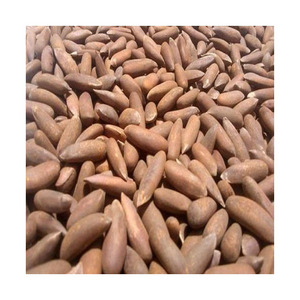 ถั่วพีแคนออร์แกนิกคุณภาพสูง สดใหม่จากสวน บรรจุภัณฑ์ขายส่งจำนวนมาก - Product Image 6