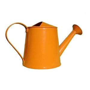 Vase Arrosoir Rustique en Métal pour Décoration de Ferme, Présentation de Fleurs de Jardin, Centre de Table de Mariage et Intérieur de Maison - Product Image 3