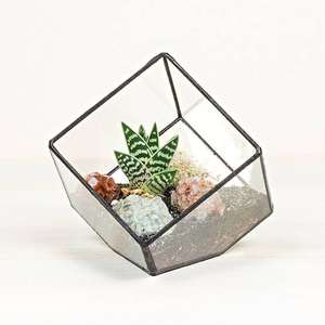 Maceta de cristal transparente en forma de cubo, pequeña, negra, para mesa, soporte para plantas de aire, caja expositora, maceta para suculentas, musgo, flores, contenedores DIY - Product Image 1