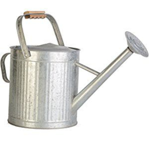 Arrosoir en acier galvanisé à double poignée, style vintage, pour plantes d'intérieur et d'extérieur – Meilleure vente - Product Image 1