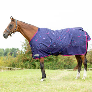 Meilleure Vente Couverture d'extérieur pour Cheval en Polaire 400g, Robuste et Imperméable, avec Cache-Cou, pour Temps Froid - Product Image 3