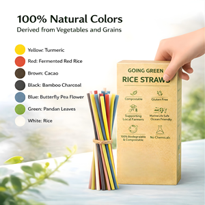 Pajitas de Arroz Biodegradables de Vietnam en Tamaños y Colores Personalizados, Pajitas de Arroz Comestibles para Accesorios de Bar para Beber - Product Image 5