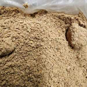 Farine d'os en vrac pour l'alimentation des animaux de ferme, volailles, protéines, calcium en poudre, exportation - Product Image 6