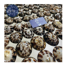 [ALTA CALIDAD] |   Escamas de Concha Azul Triturada a Granel |   Material para arte en resina, decoración de pisos de terrazo, Vietnam - Product Image 1