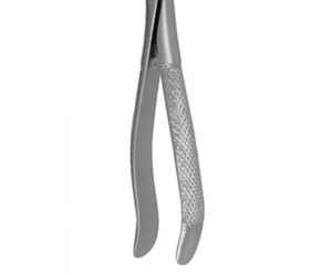 Forceps d'extraction dentaire de qualité médicale, instrument ergonomique en acier inoxydable pour l'élimination des dents - Product Image 2