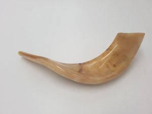 Shofar en corne de bélier polie, artisanat de haute qualité, finition brillante, naturel, écologique, instrument traditionnel pour les services de prière, objet religieux, artisanat - Product Image 3