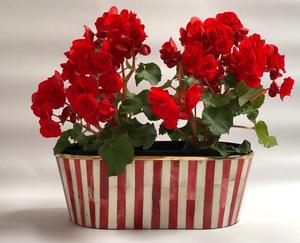 Jardinière en métal avec incrustation de os, faite à la main, de forme ronde, style minimaliste, pour la décoration de la maison, produit de luxe, exportations en gros - Product Image 3