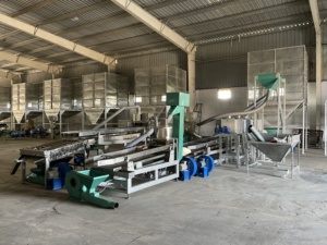 Usine de traitement des noix de cajou TTQ, capacité de 30 tonnes/jour, ligne automatique de traitement des noix de cajou, noyaux blancs de qualité alimentaire, fabricant de Ho Chi Minh, 380V - Product Image 2