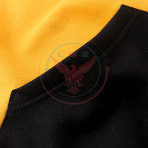 Nouveau design – Sweats à capuche pour hommes, color block, hiver, logo personnalisé, tissu polaire mélange polyester/coton, légers, haute qualité - Product Image 4