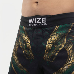 2026 Top Trending MMA Boxing Short For Men Adult Size Comfortable Soft Quick Dry Fabric Custom Spandex Polyester MMA Shorts - Product Image 5