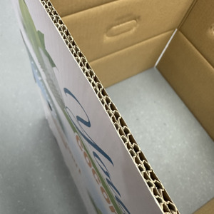 Caja de Cartón Corrugado para Exportación de Coco, Ventilada, Ecológica, Hecha con Materiales Reciclados, Impresión Offset, Embalaje para Fruta Fresca - Product Image 5