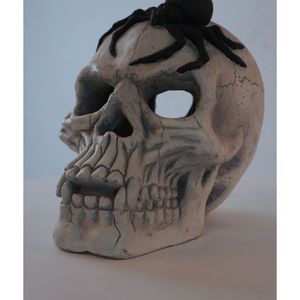 Decorazione di Halloween a Forma di Teschio Demoniaco per Caminetto e Braciere da Esterno - Product Image 5