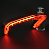 Luz Trasera LED Integrada con Lente Ahumada, Sistema de Iluminación para Motocicleta para el Modelo Ducati V4/V4S/SPECIALE 2018