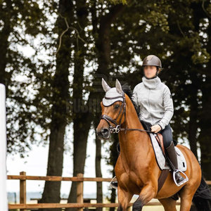 Nouveau en stock : Bonnet d'oreille pour cheval entièrement personnalisable, le plus vendu en ligne, en promotion. - Product Image 4