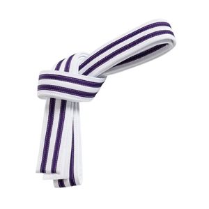 White Purple Striped Taekwondo Belt Cotton Martial Arts Grading Belt Multi Color Training Rank Strap BJJ Ranking Belts - Product Image 1