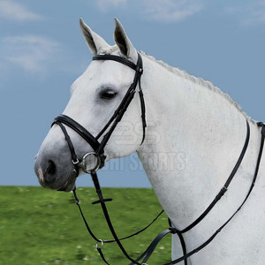 Martingale pour cheval confortable et réglable, offrant stabilité et performance fluide - Product Image 3