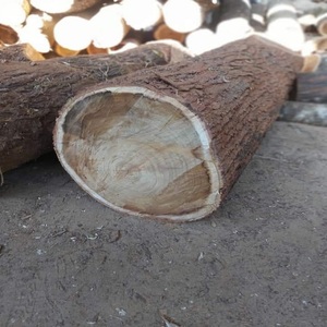 Troncos de Madera, Madera Aserrada en Bruto, Leña para Construcción y Procesamiento Artesanal, Madera para Muebles y Construcción, y Palés para Exportación - Product Image 4