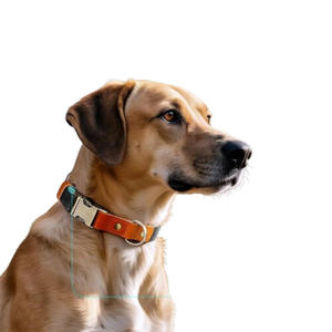 Nouvel Arrivage Collier pour Chien en Cuir Sur Mesure Style Luxe Tendance Respirant avec Boucle Automatique en Cuir PU - Product Image 6