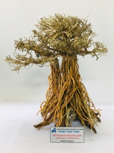 Décorations d'aquarium en bois flotté naturel de haute qualité, forme irrégulière, écologiques, ornement pour aquarium fabriqué au Vietnam - Product Image 6