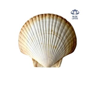 Lampe de Sel Durable 2026 la Plus Vendue de BLUE LOTUS FARM pour le Traitement de l'Eau et Source de Calcium – Qualité Export OEM ODM Vente en Gros - Product Image 1